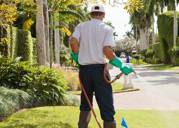 About Clifton KS Pest Control